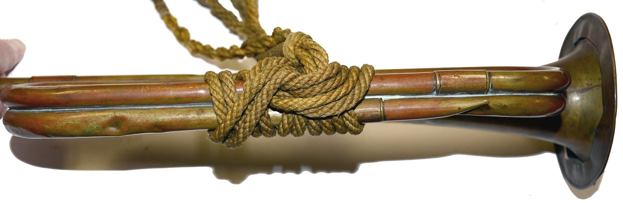 Image 15