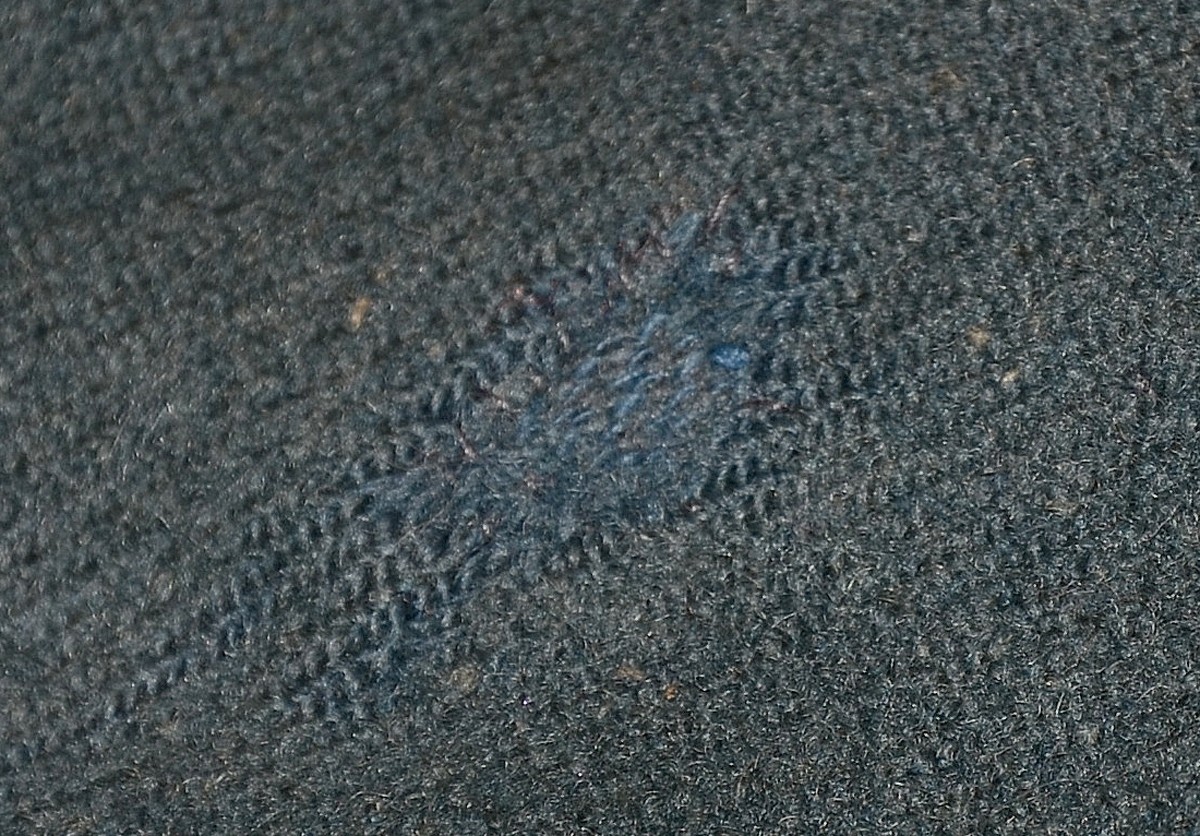 Image 15