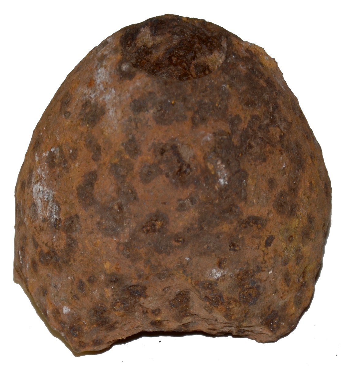 NOSE SECTION CONFEDERATE 3 INCH 10 POUND SMOOTH READ FRAGMENT FROM THE SHIELDS MUSUEM COLLECTION – RECOVERED ON THE FIRST DAY’S BATTLEFIELD WEST OF TOWN!