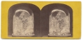 STEREO VIEW OF A MEMORIAL TO LINCOLN MADE WITH “DISSECTED” LEAVES
