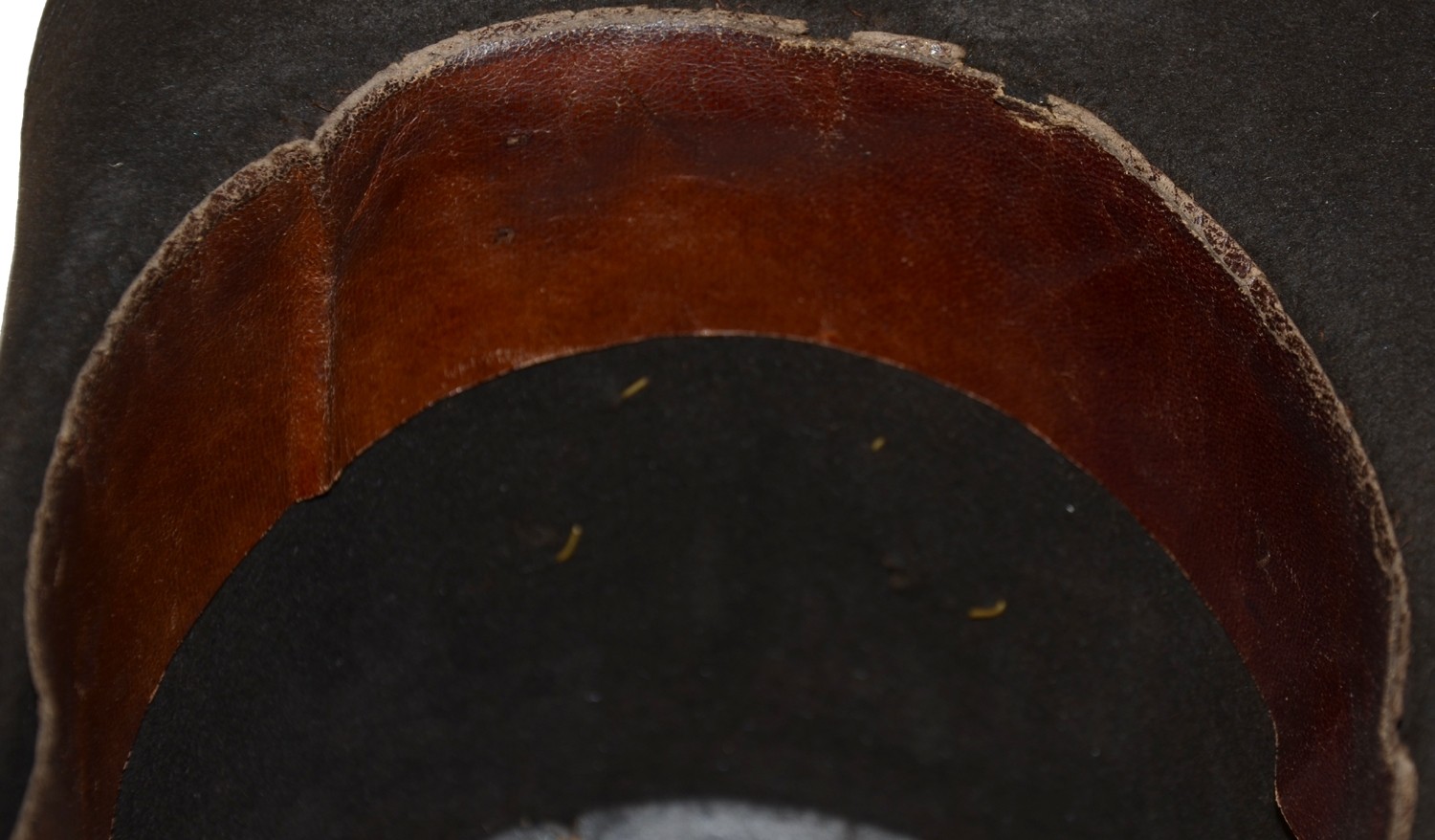 Image 15