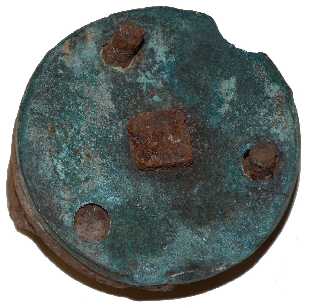 Image 4