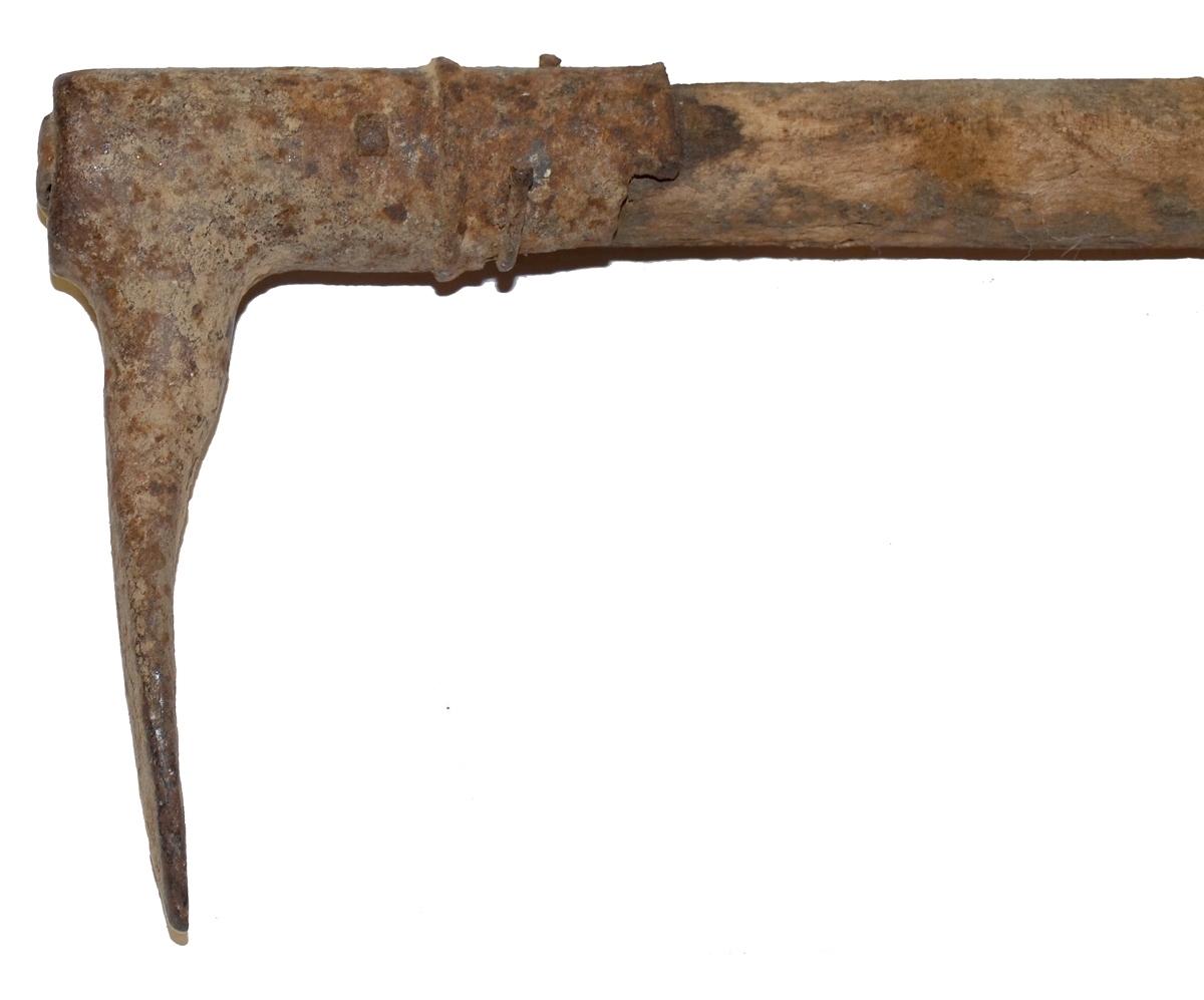 Image 4