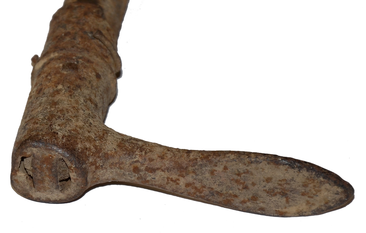 Image 5