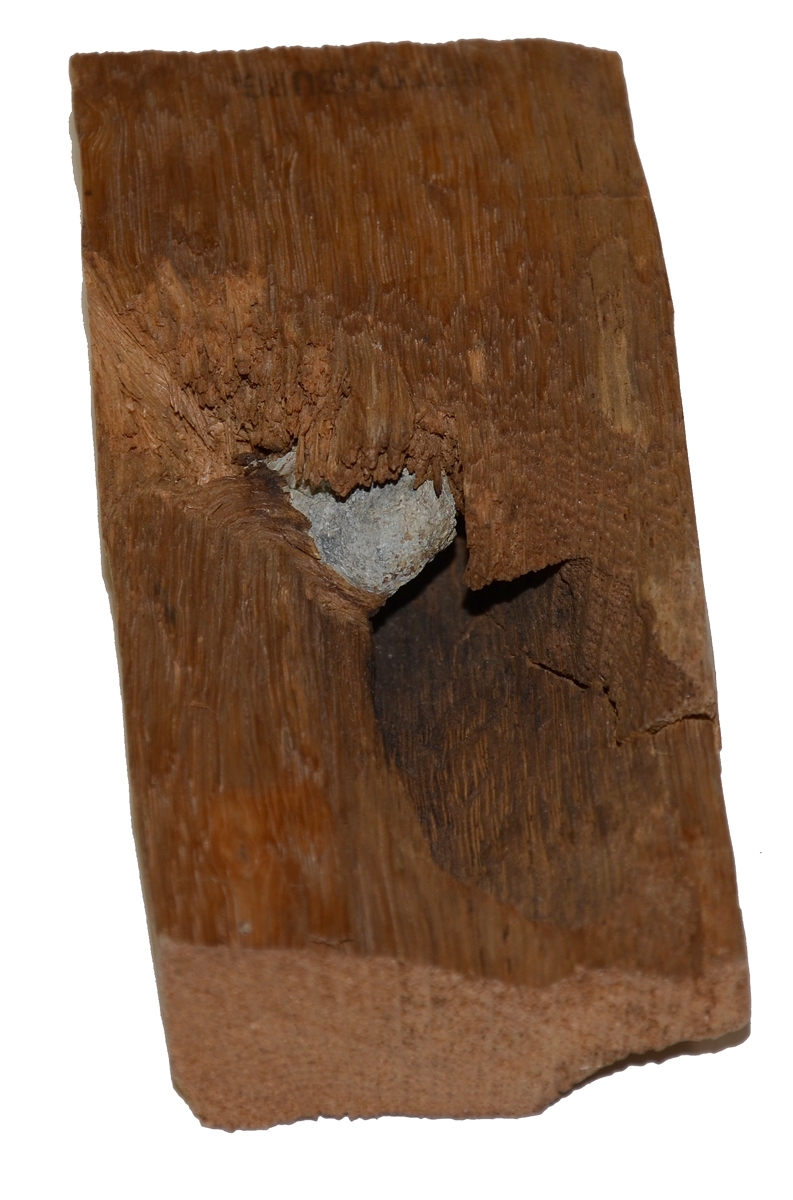 GETTYSBURG BULLET-STRUCK WOOD