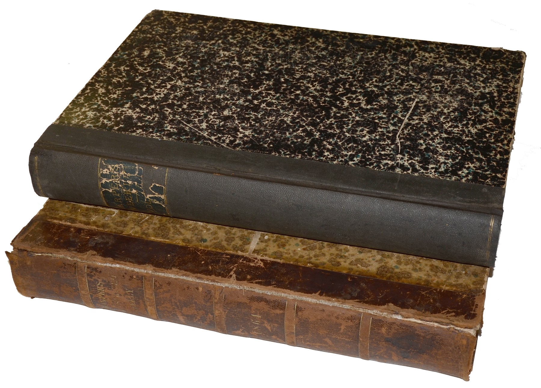 Image 5