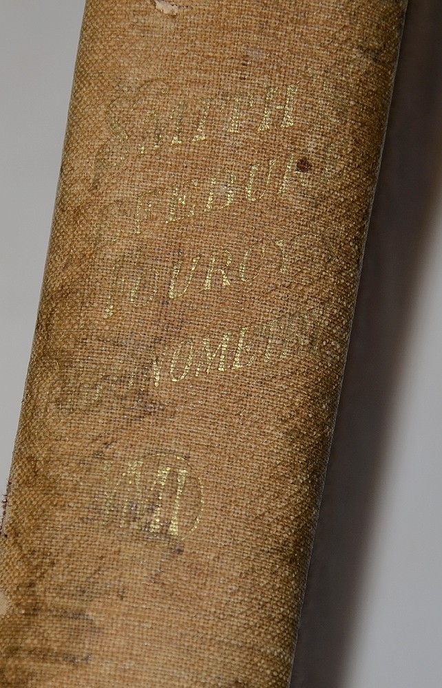Image 5