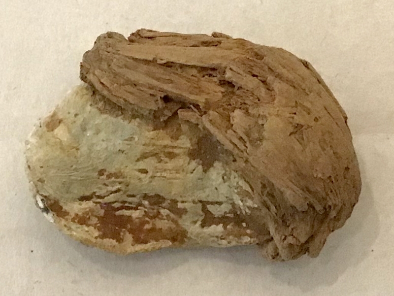 US/CS .69 CALIBER ROUND MUSKET BALL IN WOOD RECOVERED AT GETTYSBURG