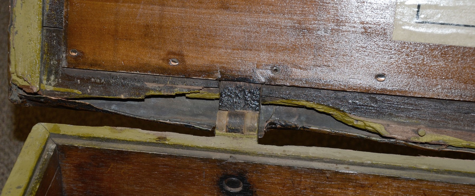 Image 8
