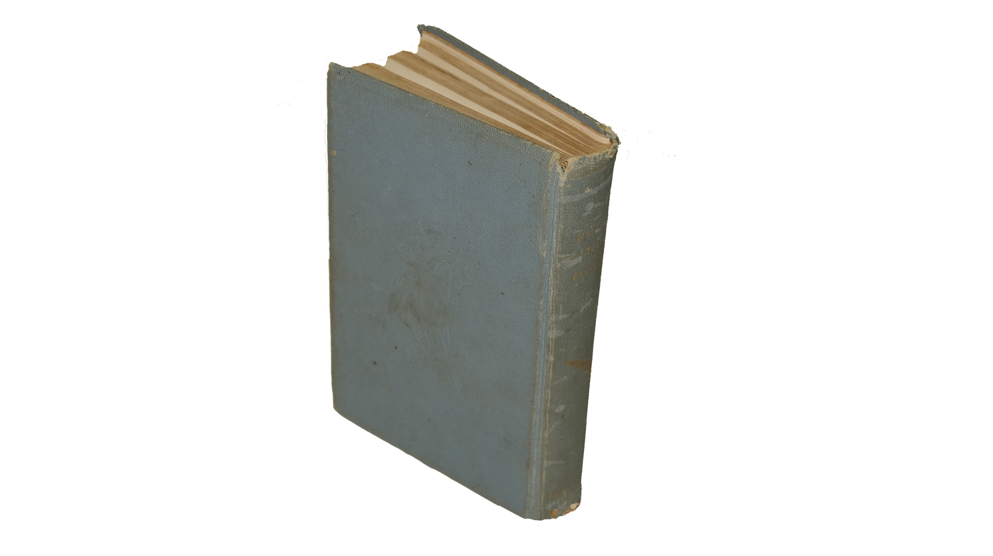Image 2