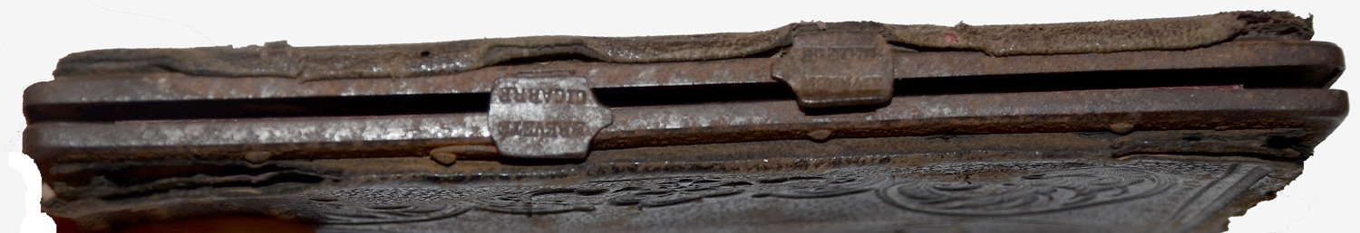 Image 8