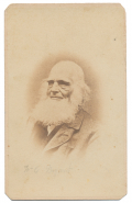 BUST VIEW CDV OF WILLIAM CULLEN BRYANT
