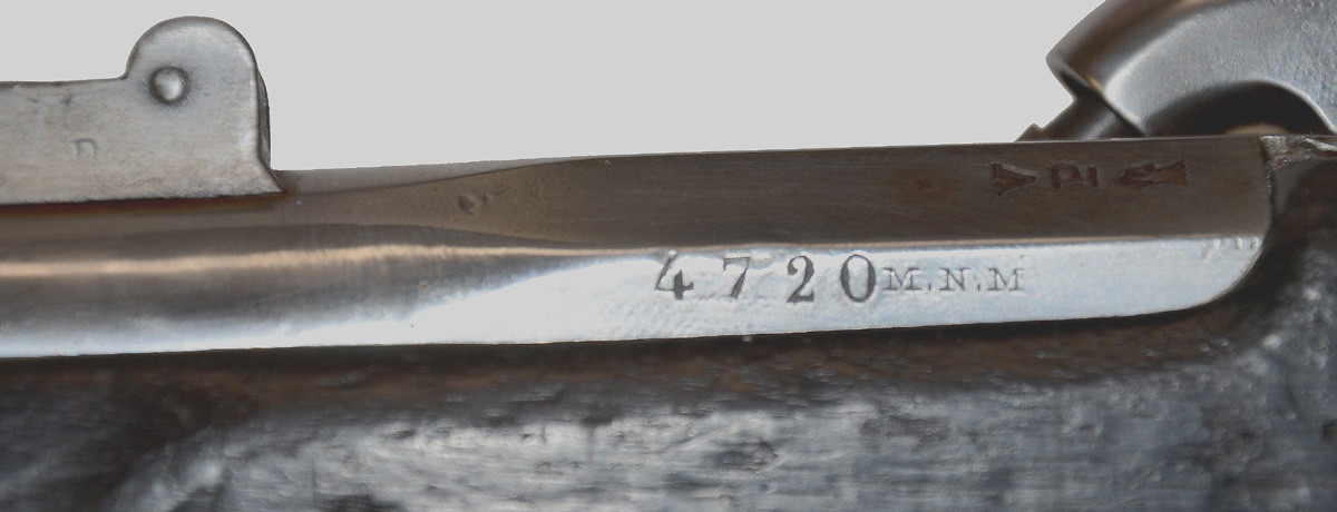 Image 15