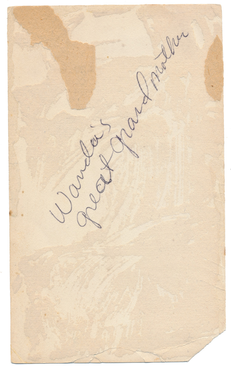 Image 15
