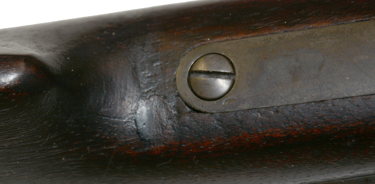 Image 13