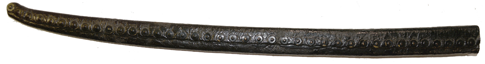 Image 15