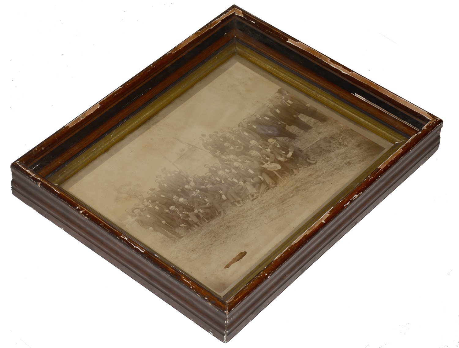 Image 4