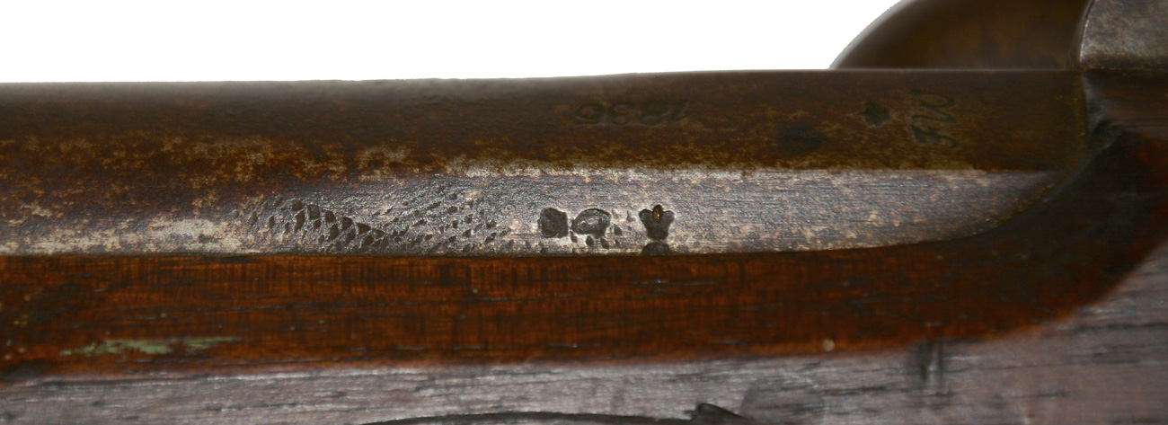 Image 14