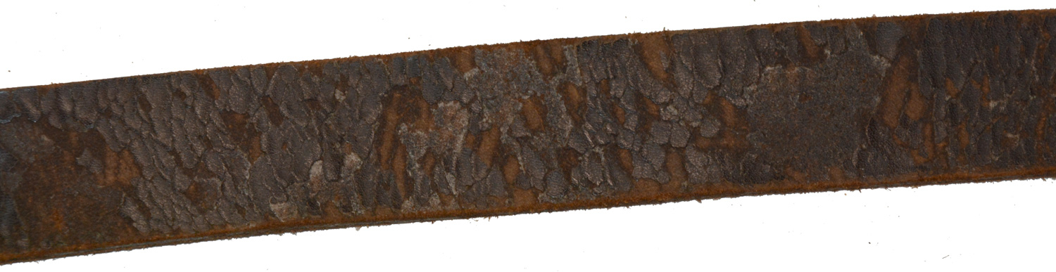 Image 15