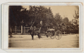 OUTDOOR CDV OF HORSE DRAWN CARRIAGE, CUBA?