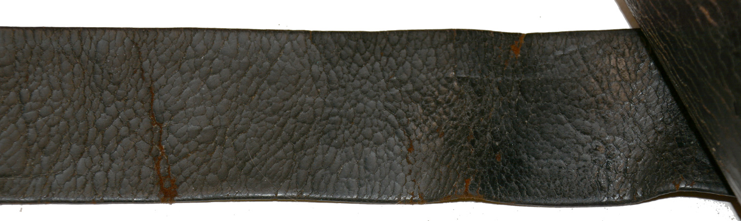 Image 15
