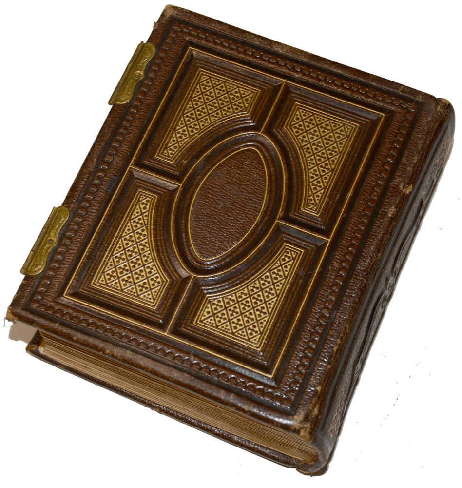 Image 4