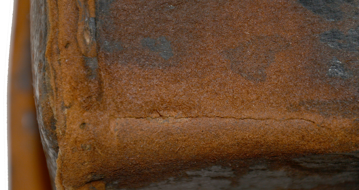 Image 18