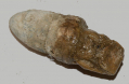"DUG" .58 CALIBER RIFLE MUSKET CARTRIDGE BY JOHNSON & DOW