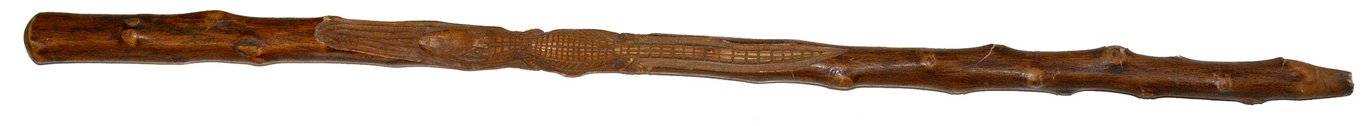 Image 20