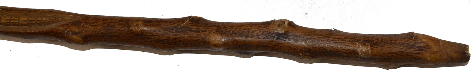 Image 22