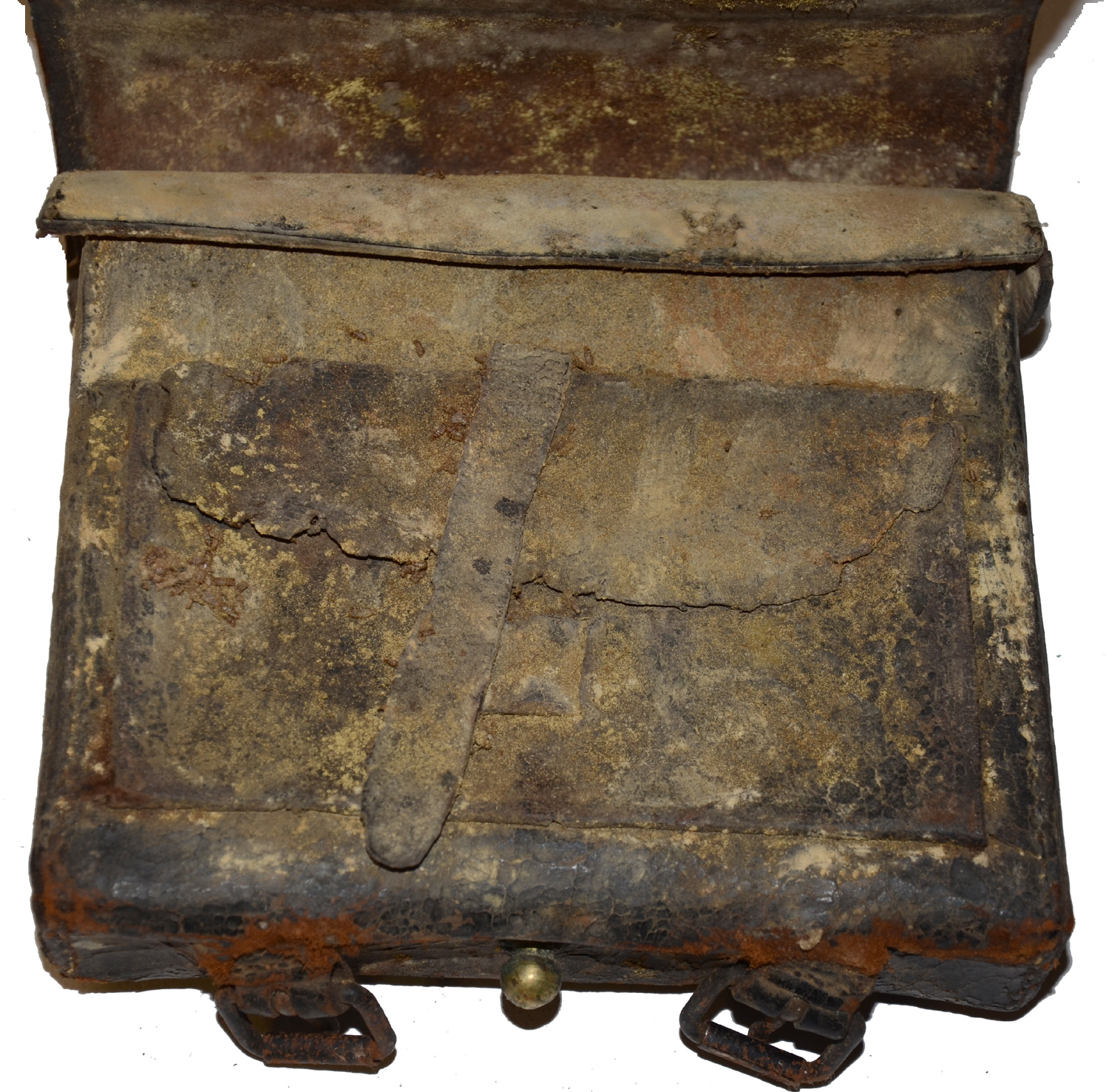 Image 7
