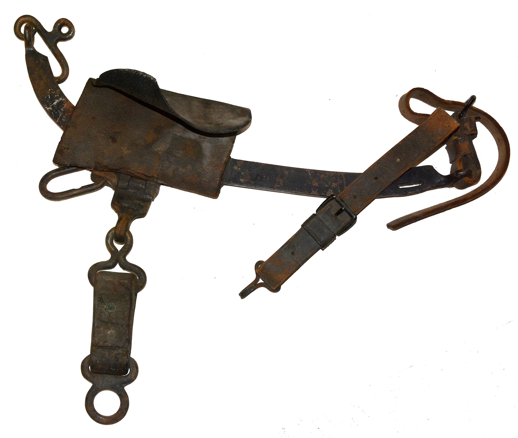 Image 4