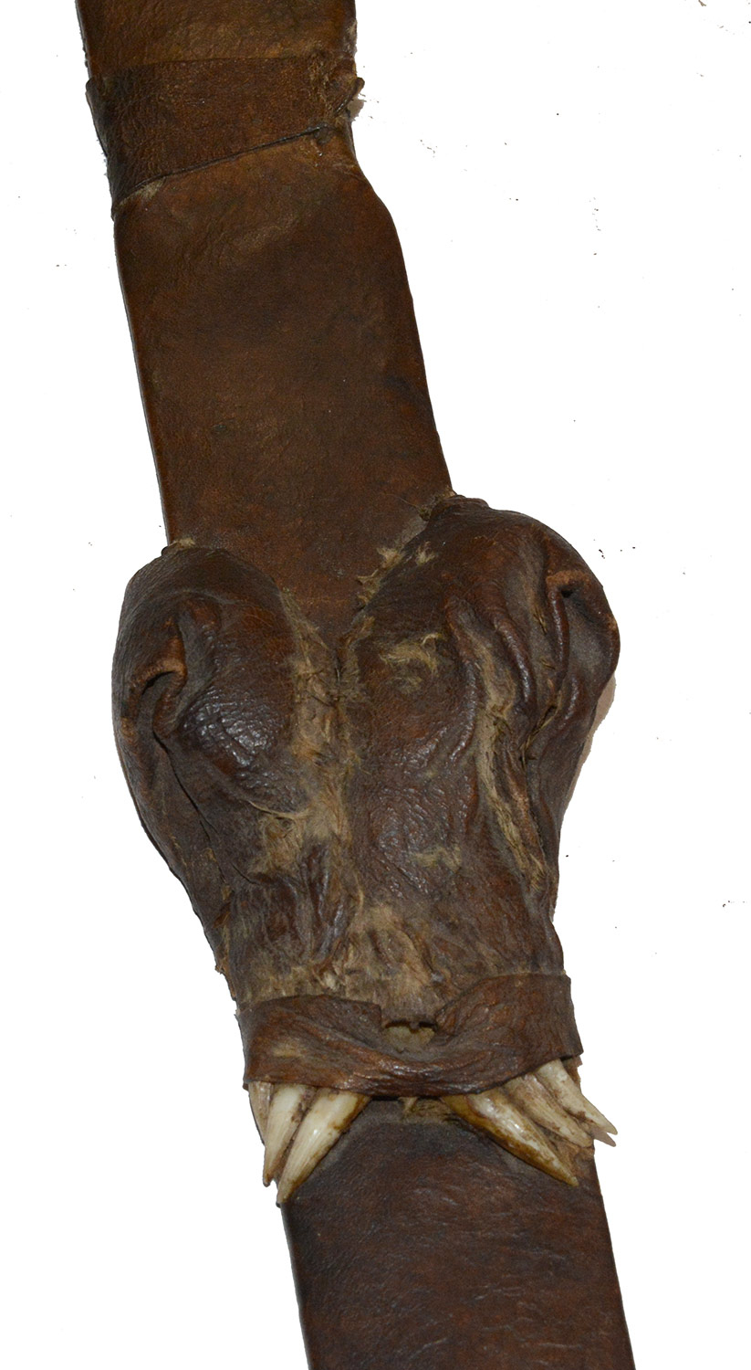 Image 12