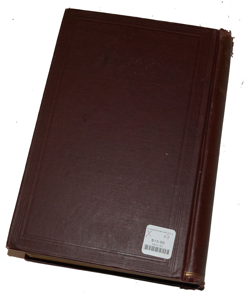 Image 5
