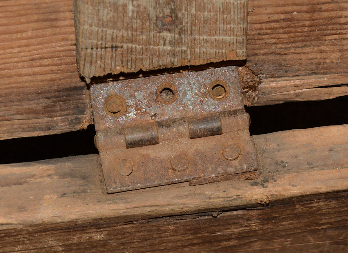 Image 13