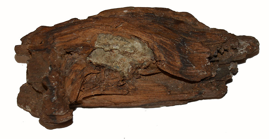 BULLET IN WOOD FROM GETTYSBURG, KEN BREAM COLLECTION