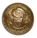 NEW YORK STATE ARTILLERY BUTTON (NY20)