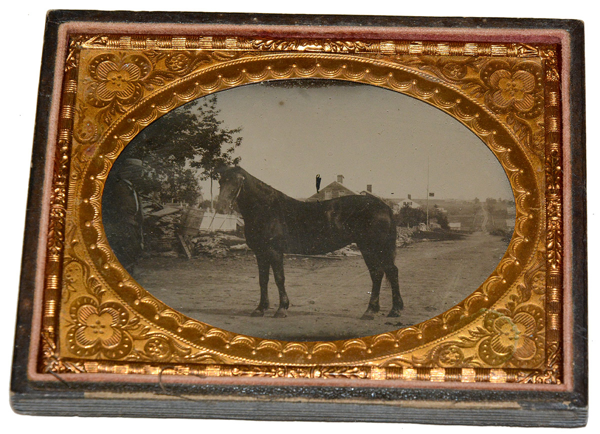 WONDERFUL OUTDOOR TINTYPE OF A HORSE POSSIBLY NAMED “CLARA”
