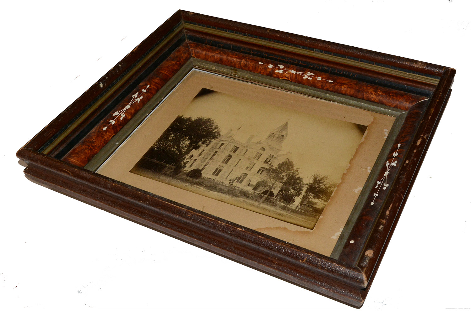 Image 4
