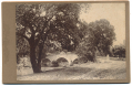 VIEW OF BURNSIDE’S BRIDGE AT ANTIETAM BY UNKNOWN PHOTOGRAPHER