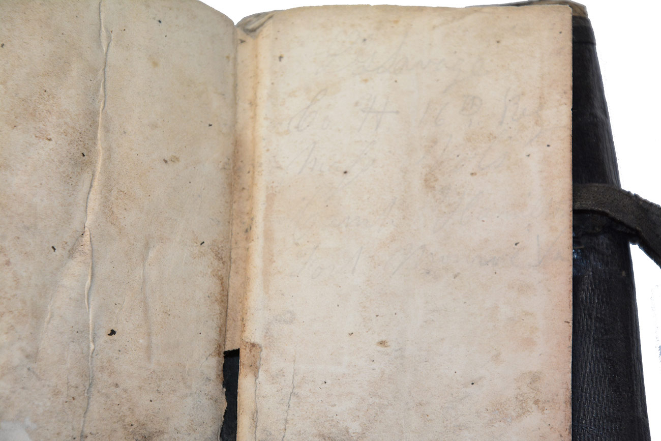 Image 8