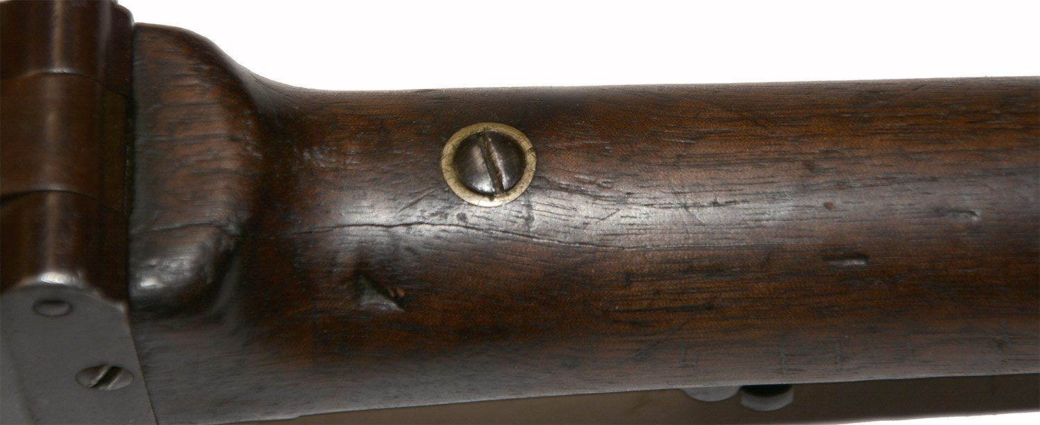 Image 13