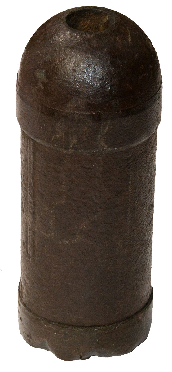 CONFEDERATE 3.00 INCH BROUN SHELL FROM PHILADELPHIA MOLLUS MUSEUM 