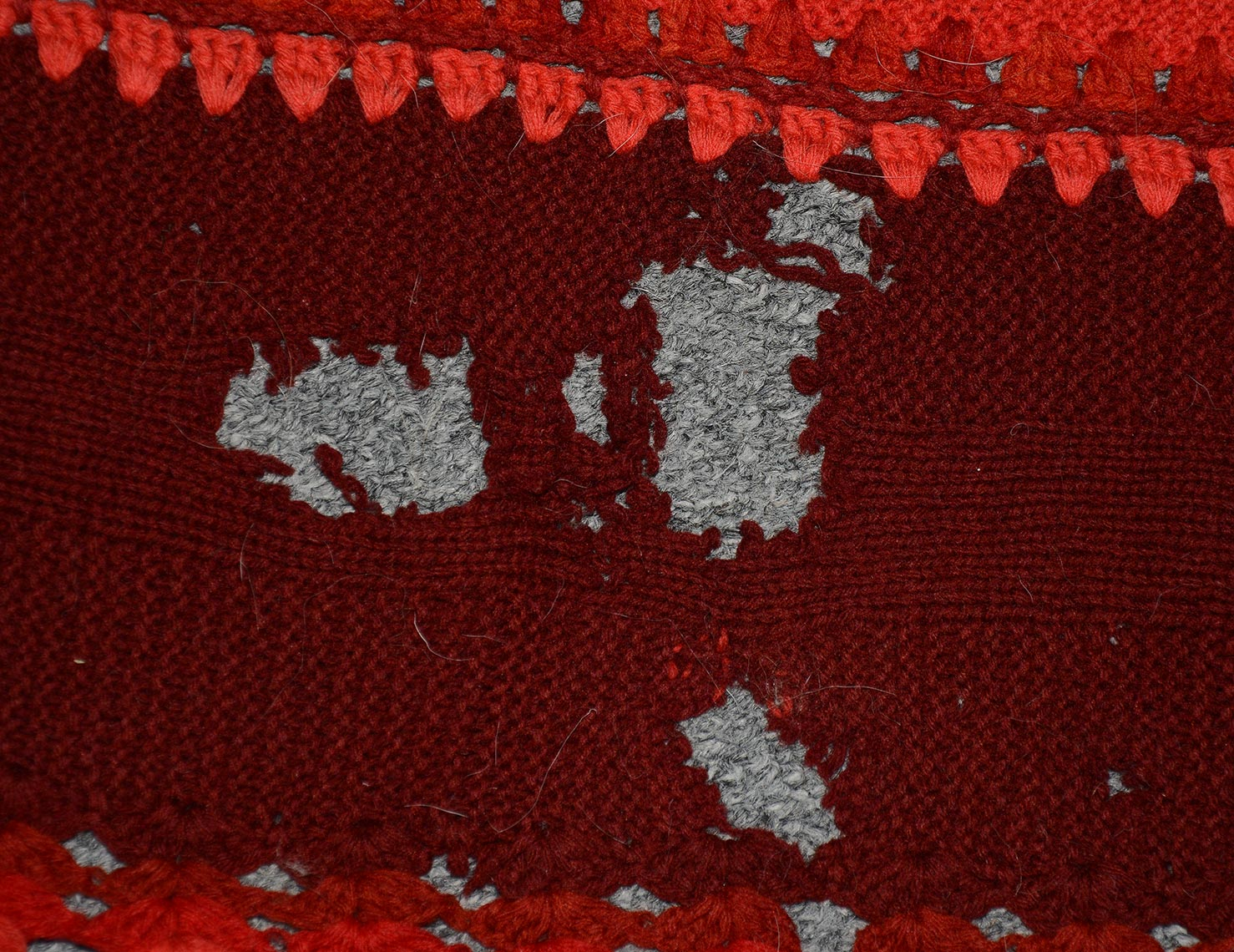 Image 4
