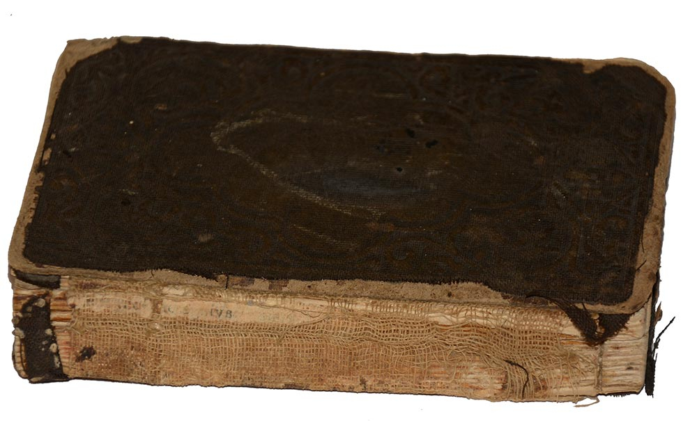 Image 2