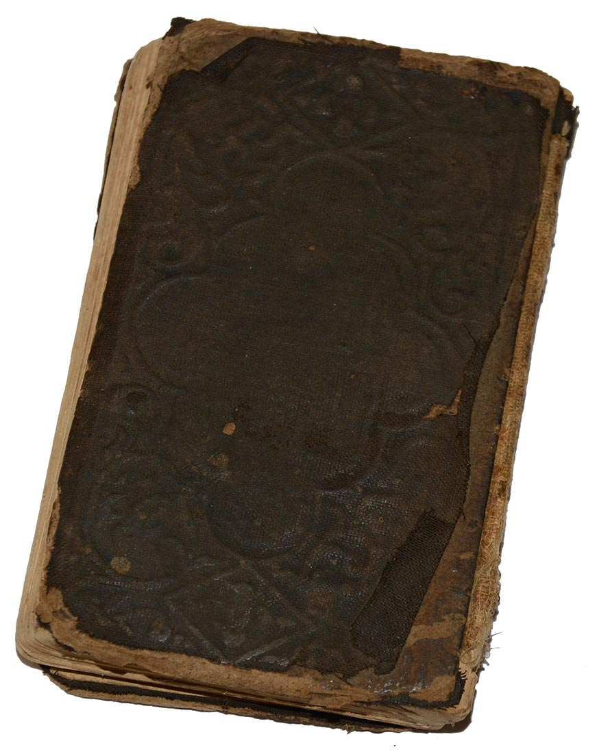 Image 7