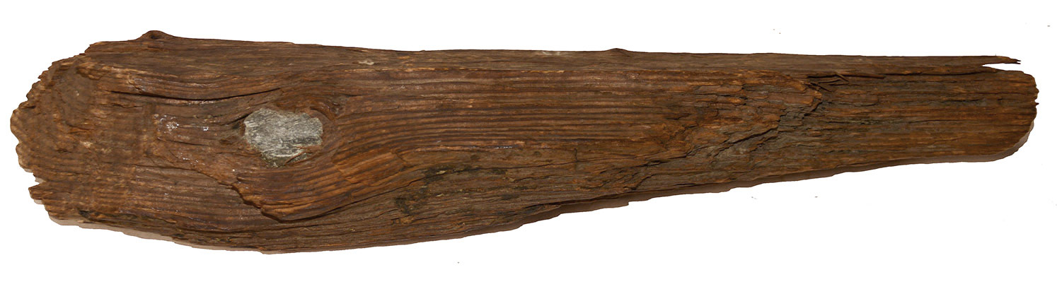 BULLET IN WOOD RECOVERED IN CENTRAL VIRGINIA