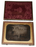 HALF PLATE AMBROTYPE OF MAN WITH STEER