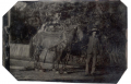 1/8 PLATE TINTYPE OF LARGE WORK HORSE