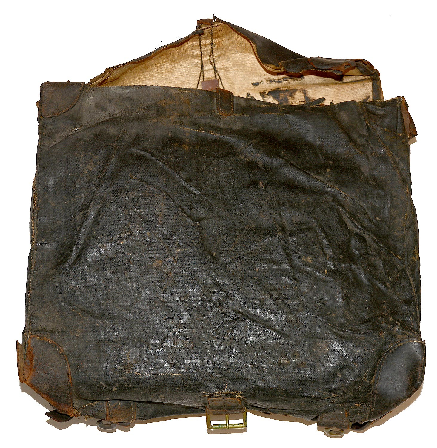 Image 7